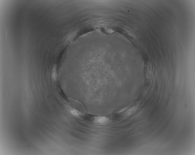 X0000061760287200512161752