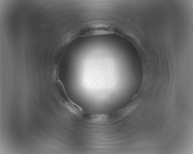 X0000061760288200512161752