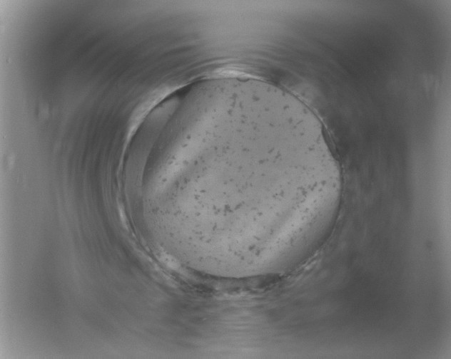 X0000061760289200512161751