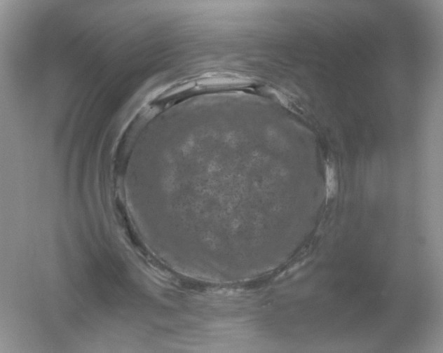 X0000061760291200512161751