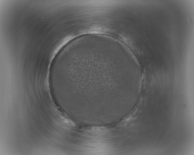 X0000061760292200512161751