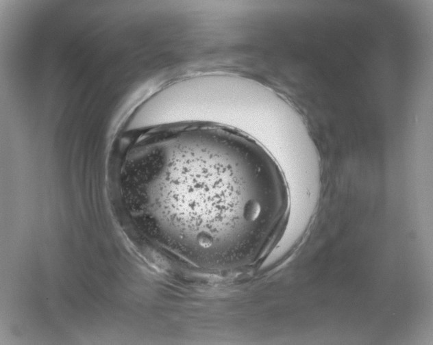 X0000061760293200512161751