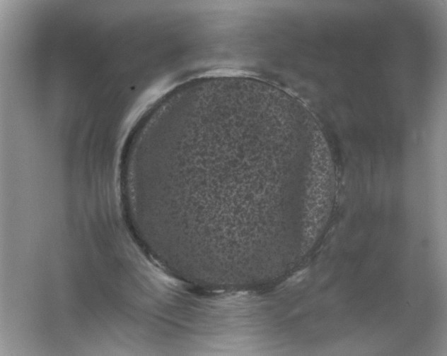 X0000061760296200512161751