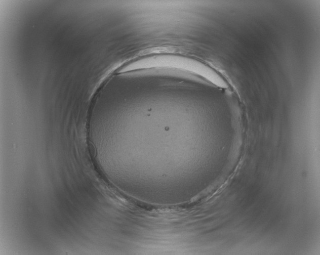 X0000061760297200512161751