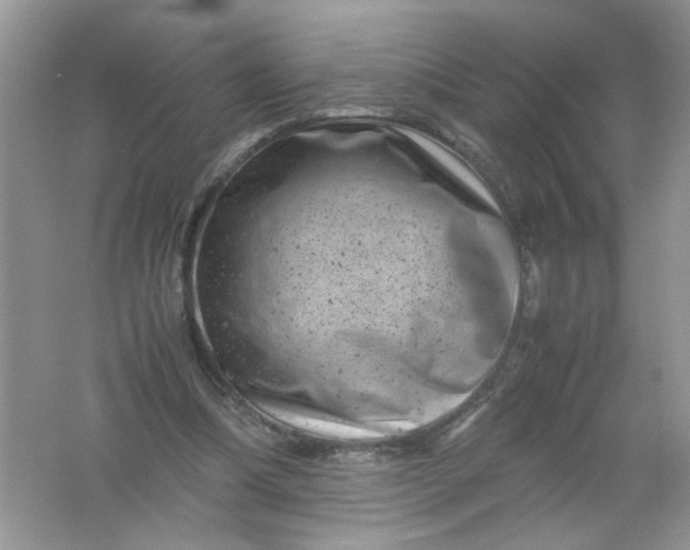 X0000061760298200512161751