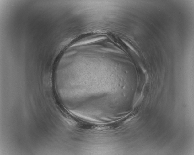 X0000061760299200512161751