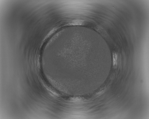 X0000061760300200512161751