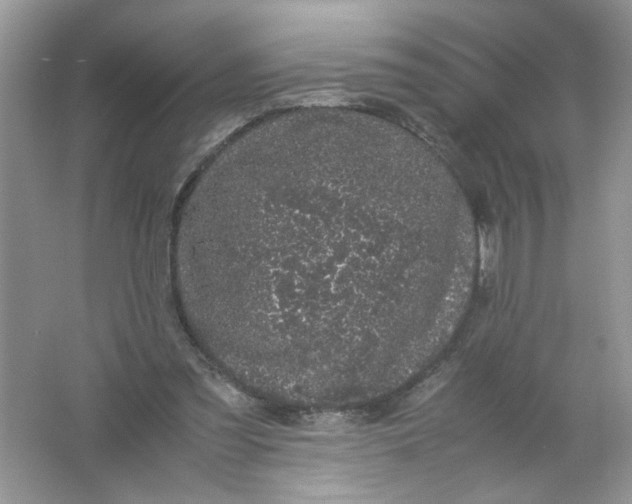 X0000061760301200512161751