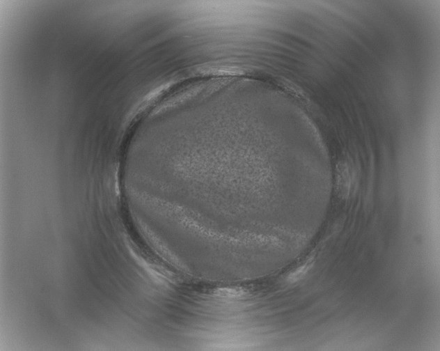 X0000061760302200512161751