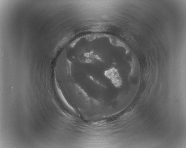 X0000061760303200512161750