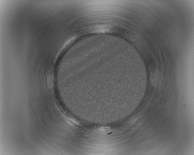 X0000061760304200512161750