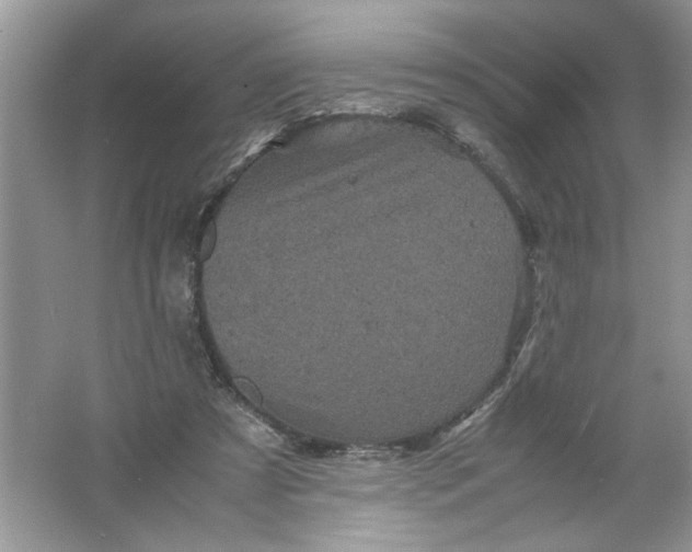 X0000061760305200512161750