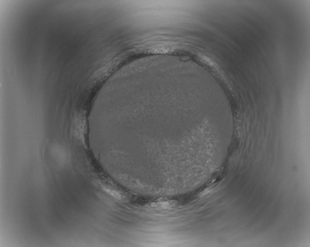 X0000061760307200512161750