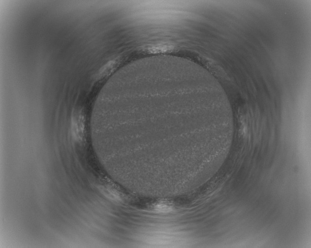 X0000061760308200512161750