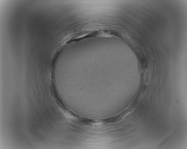 X0000061760309200512161750