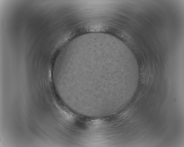 X0000061760310200512161750