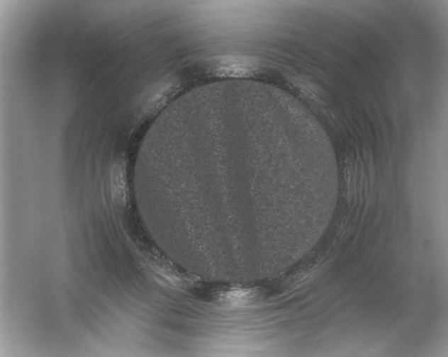 X0000061760312200512161750