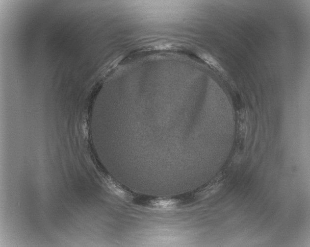 X0000061760313200512161750