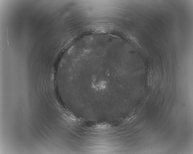 X0000061760314200512161750