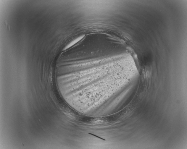 X0000061760315200512161750