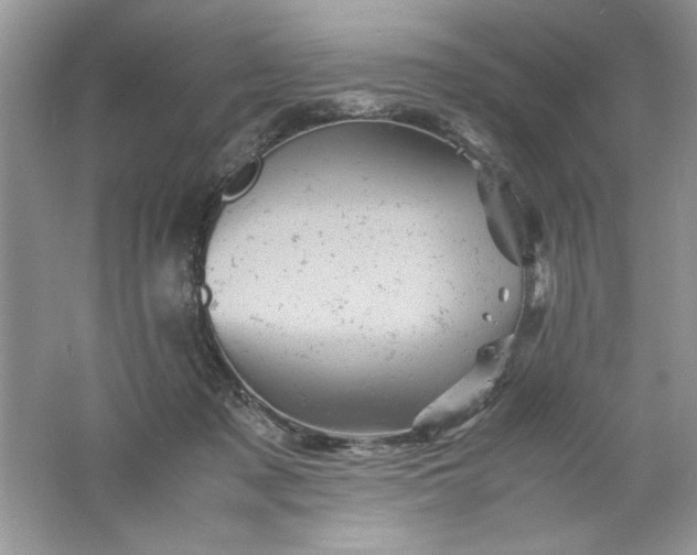 X0000061760317200512161750