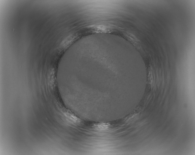 X0000061760318200512161750