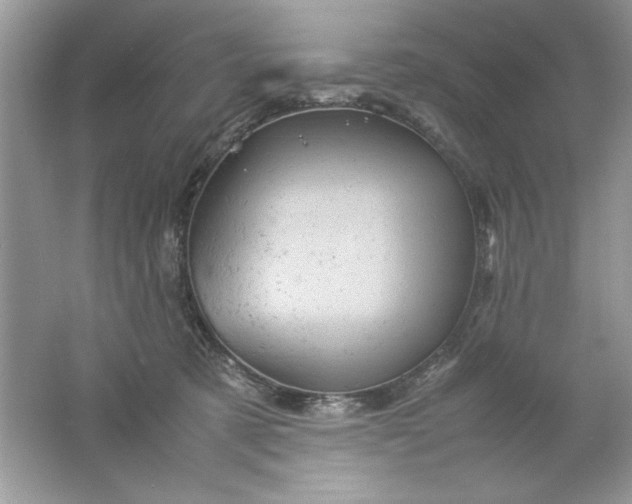 X0000061760321200512161750