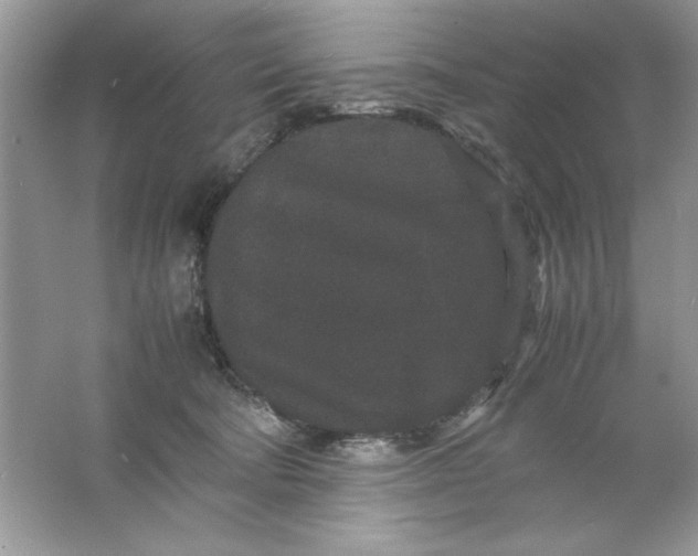 X0000061760322200512161750