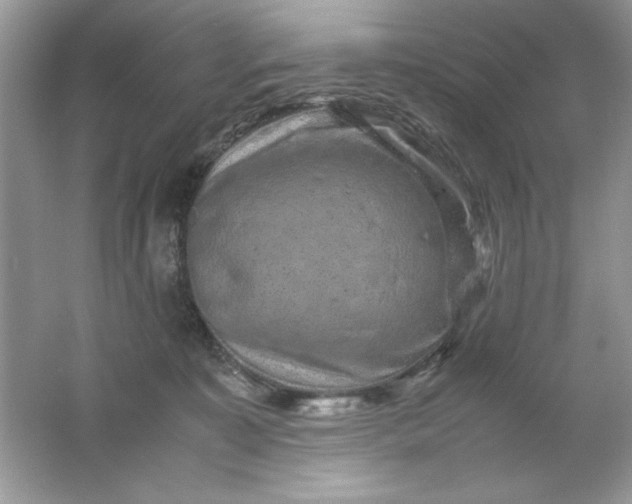 X0000061760323200512161750