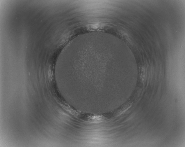 X0000061760324200512161750