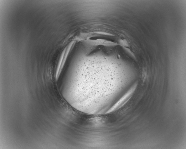 X0000061760326200512161750