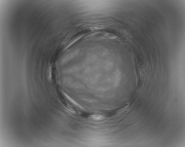 X0000061760327200512161750