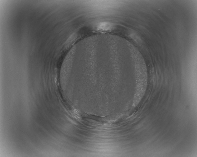 X0000061760328200512161750