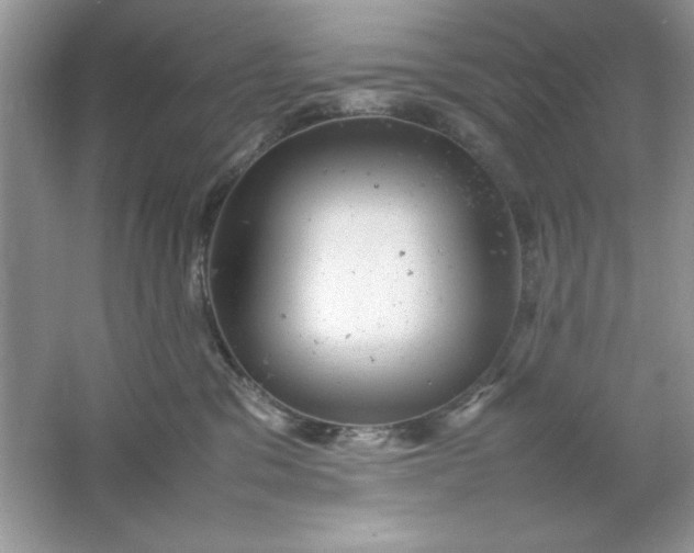 X0000061760329200512161750