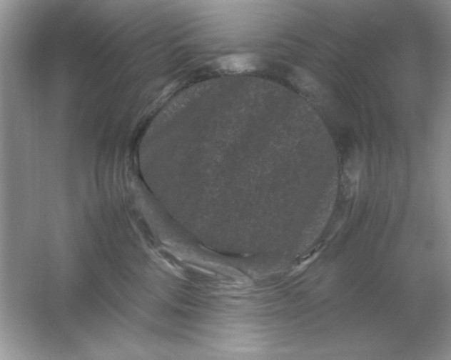 X0000061760330200512161750