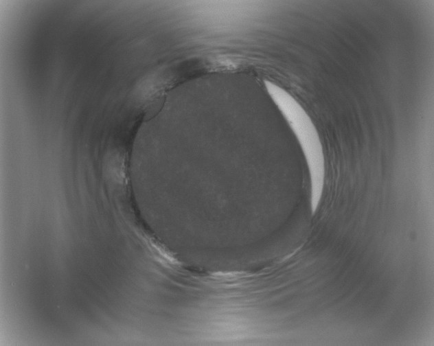 X0000061760331200512161750