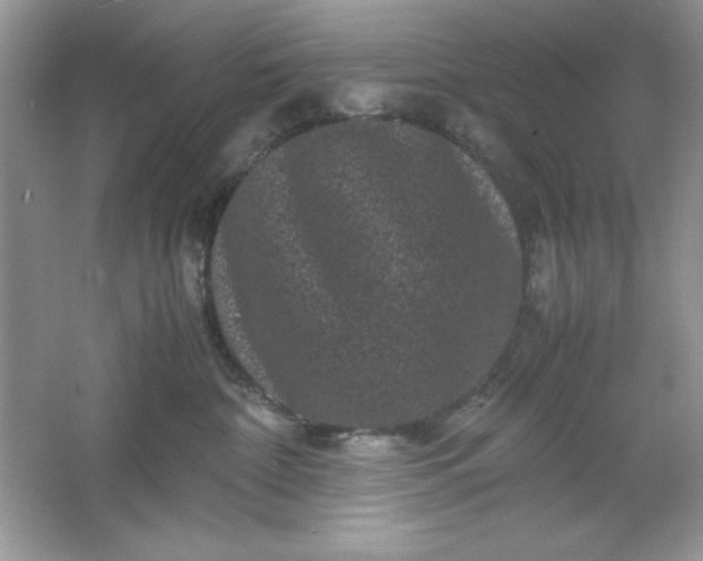 X0000061760332200512161750