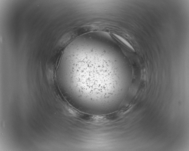 X0000061760333200512161750