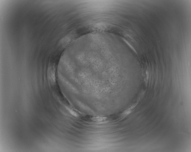 X0000061760334200512161750