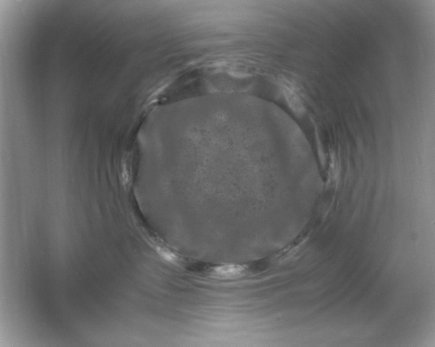 X0000061760335200512161750