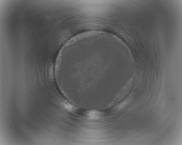 X0000061760336200512161750