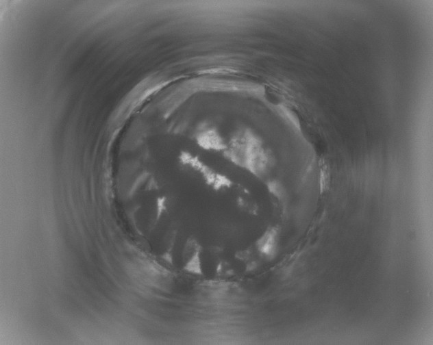 X0000061760339200512161749