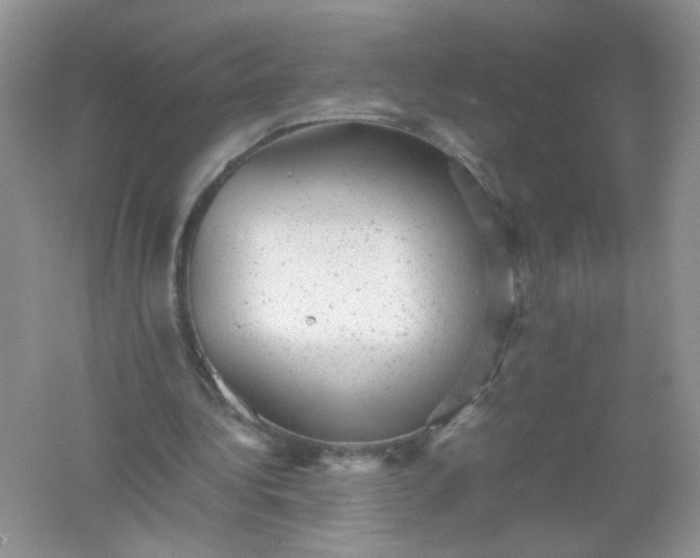 X0000061760340200512161749