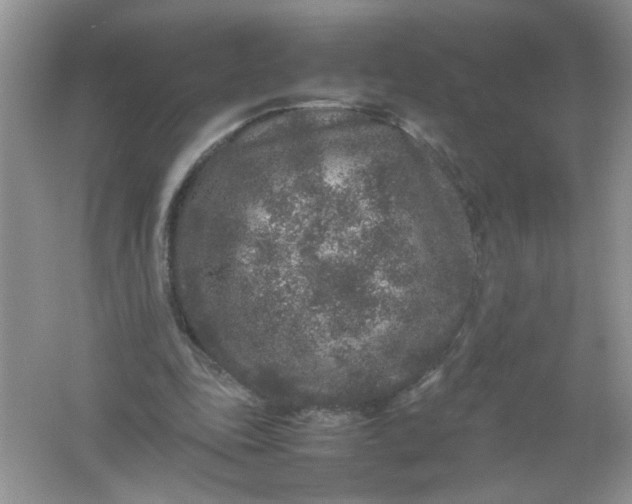 X0000061760343200512161749