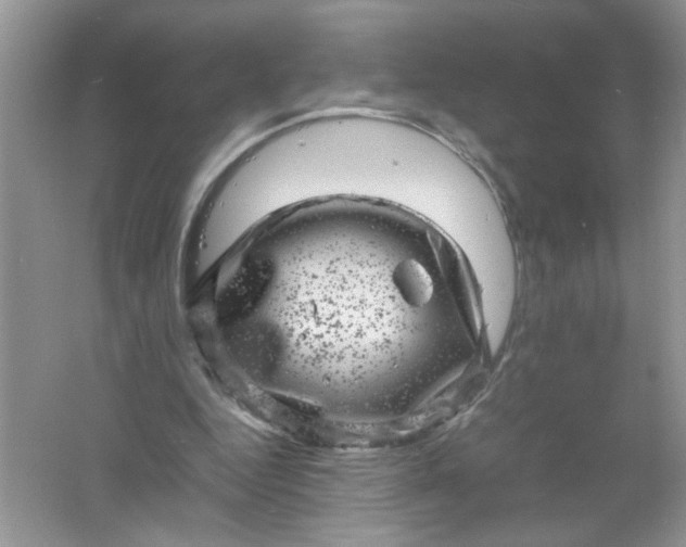 X0000061760344200512161749