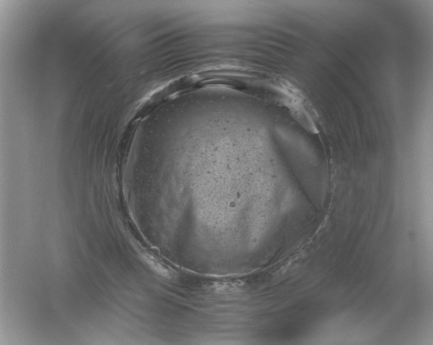 X0000061760345200512161749