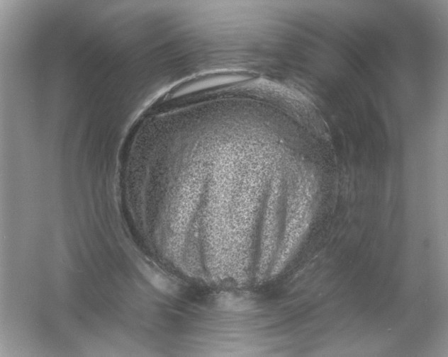 X0000061760346200512161749