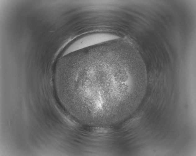 X0000061760347200512161749