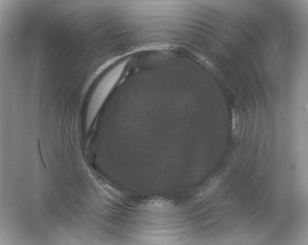 X0000061760348200512161749