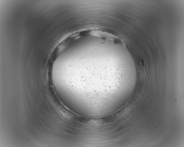 X0000061760350200512161749